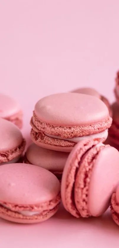 Pink macarons on a pastel pink background.