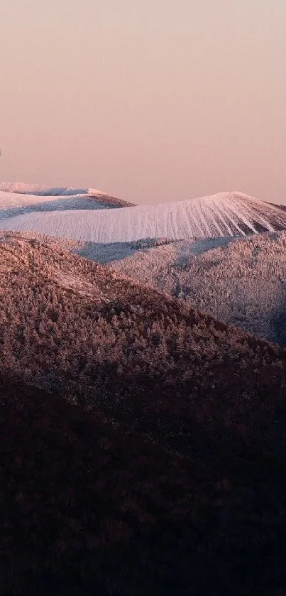 Pink-tinted mountain landscape with snow.