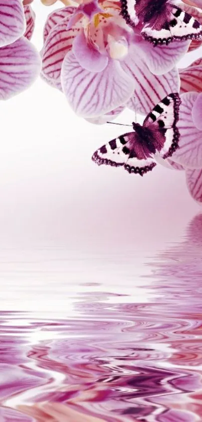 Pink orchids with butterflies reflecting on water.