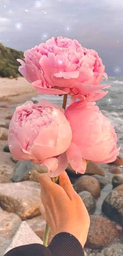 Hand holding pink peonies on a rocky beach with ocean waves.