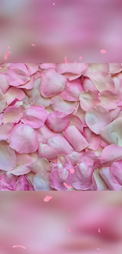 Pink petals background wallpaper, soft and elegant.