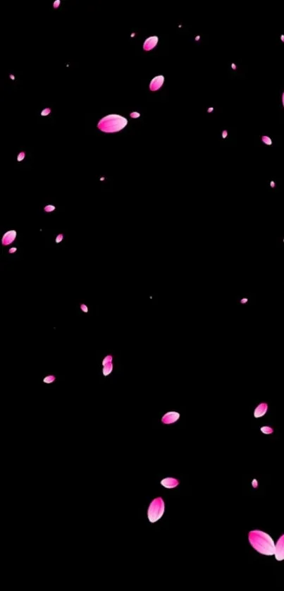 Black wallpaper with floating pink petals.