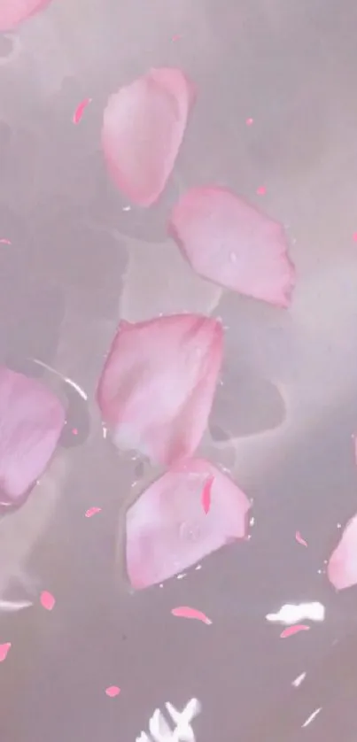 Delicate pink petals float peacefully on clear water.