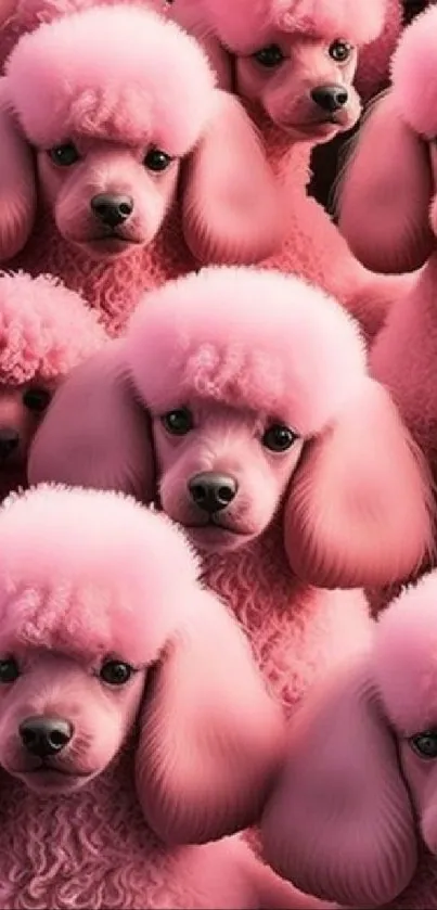 Charming pink poodles pattern wallpaper for mobile.