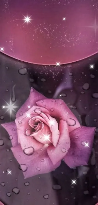 Enchanting pink rose wallpaper with stars and droplets.