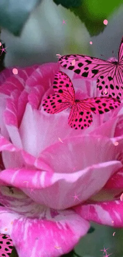 Pink rose with butterflies mobile wallpaper.