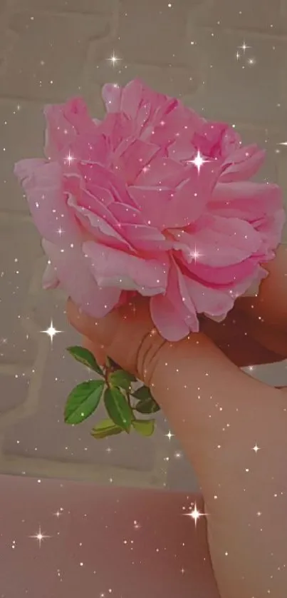 Hand holding a pink rose against a sparkling, starry background.