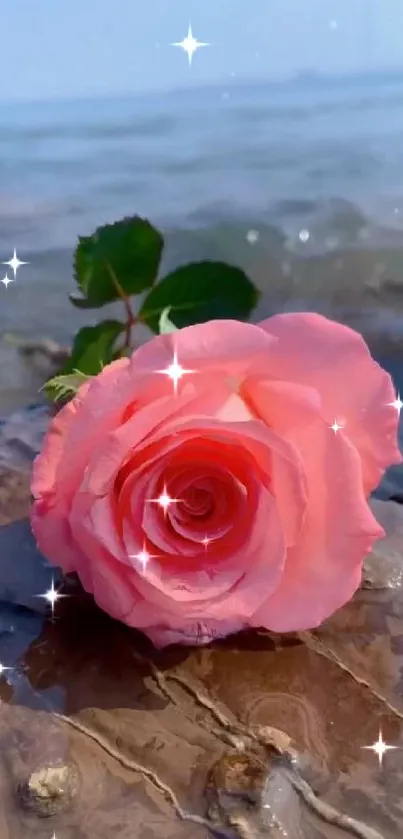 Pink rose lying on sandy beach with ocean waves in background.