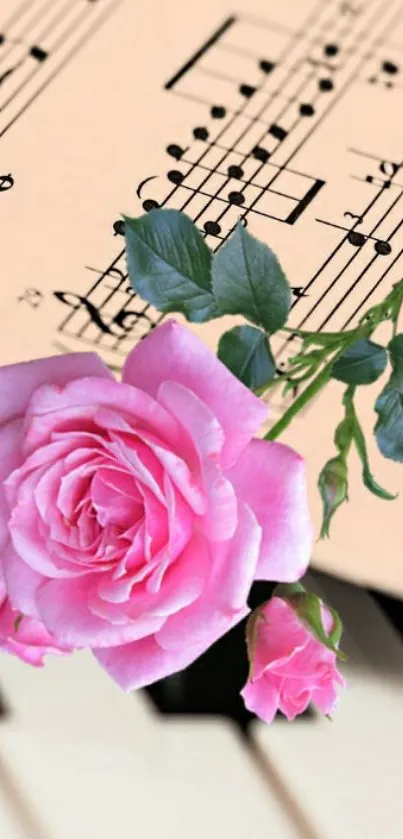 Pink rose with music notes and piano keys wallpaper.