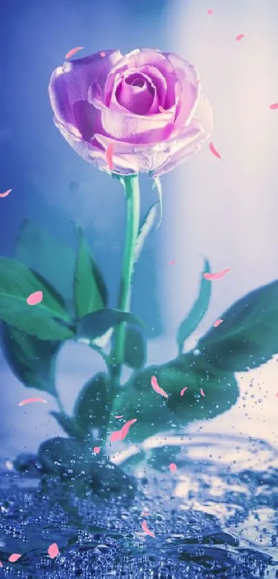 Pink rose with green leaves on a watery surface, exuding serenity.