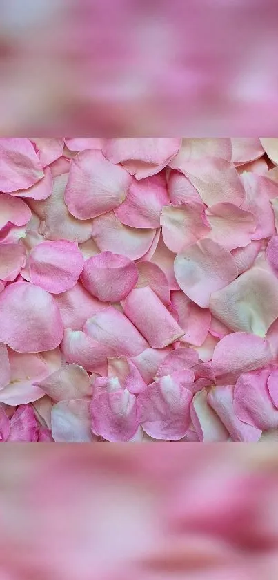 Light pink rose petals creating a soft, elegant mobile wallpaper.