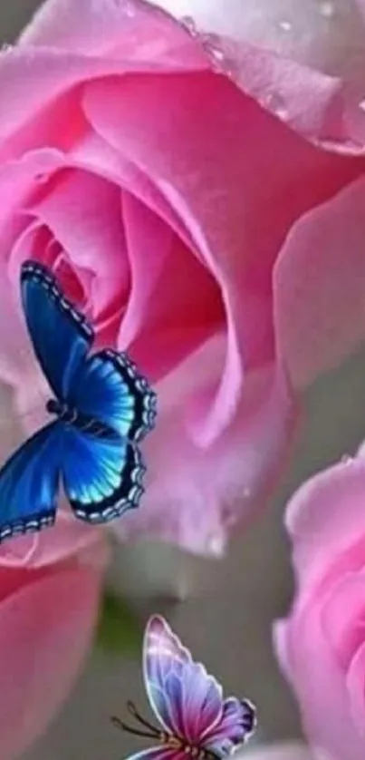 Pink roses with blue butterflies mobile wallpaper.