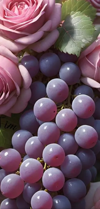Pink roses and purple grapes mobile wallpaper with a nature theme.