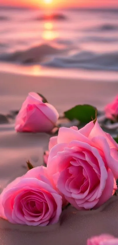 Pink roses on a sandy beach at sunset.