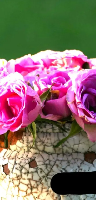 Vibrant pink roses in a rustic mosaic vase.