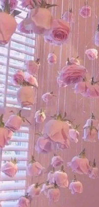 Pink roses hanging beautifully in soft light.