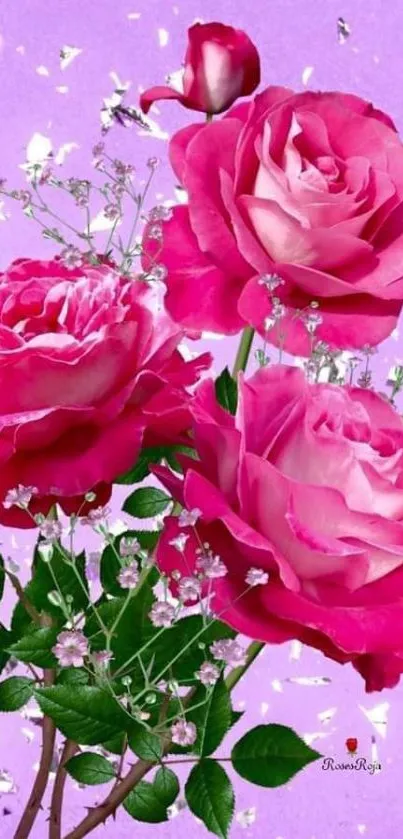 A vibrant pink roses wallpaper with lush green leaves.