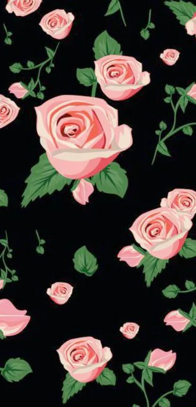 Beautiful pink roses on a black background wallpaper.