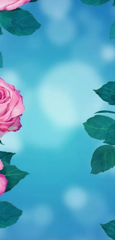 Pink roses on a blue background wallpaper with leafy greens.