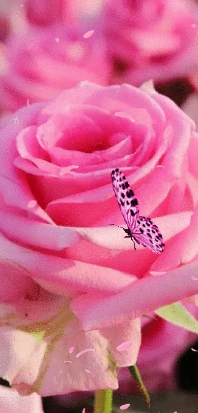 Pink roses with butterfly mobile wallpaper.