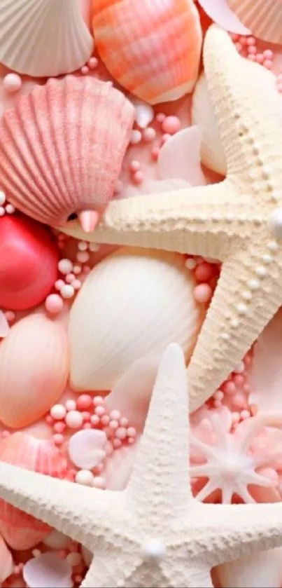Pastel pink seashells and starfish create a serene mobile wallpaper.