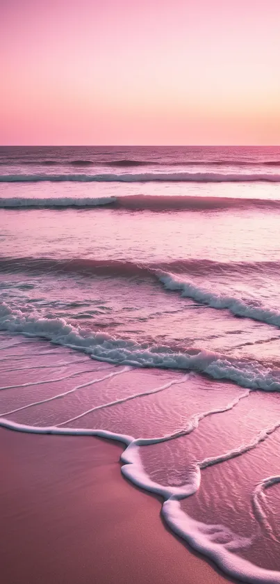 Pink sunset beach wallpaper with gentle waves.