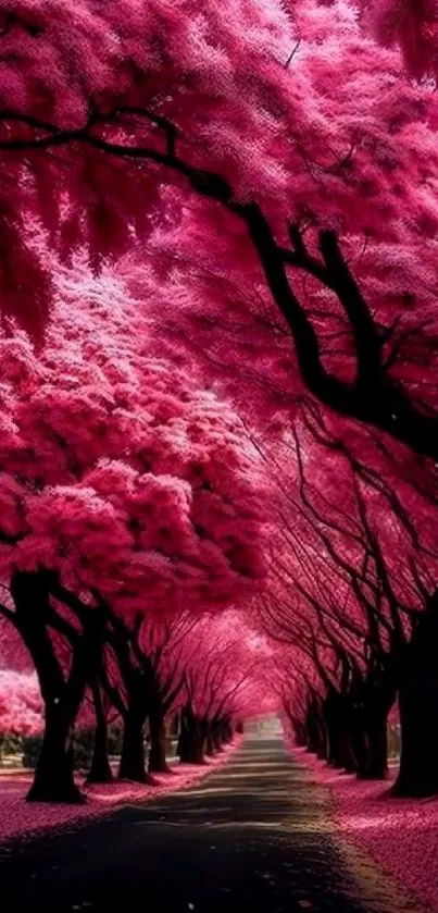 Mobile wallpaper with a tunnel of pink blossom trees.