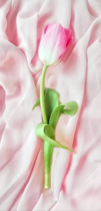 Pink tulip resting on soft pink fabric.