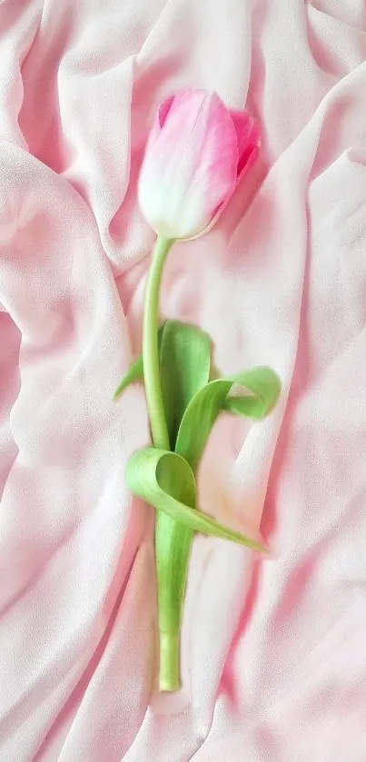 Delicate pink tulip on soft pink fabric, enhancing elegance.