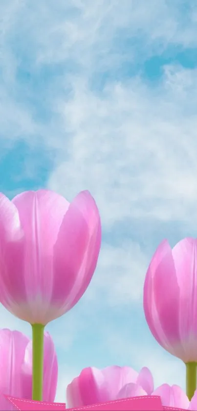 Pink tulips against a vibrant blue sky, perfect for a nature-themed mobile wallpaper.