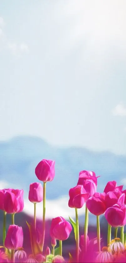 Vibrant pink tulips bloom under a clear blue sky, creating a serene wallpaper.