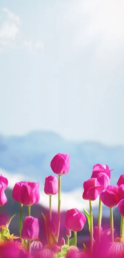 Vibrant pink tulips under blue sky with mountain view in the background.