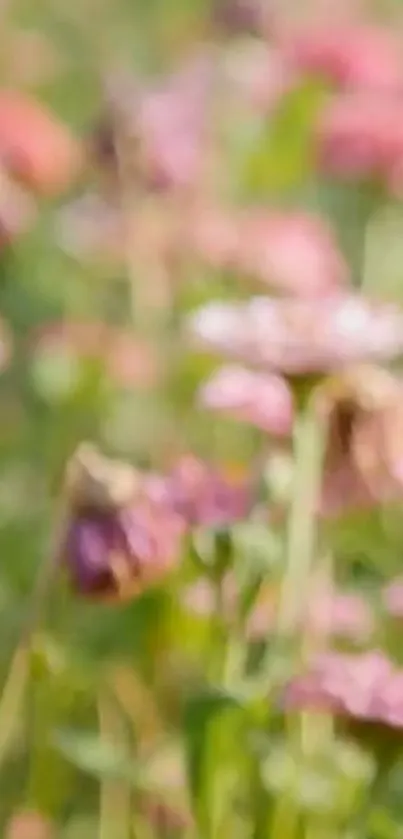 A field of pink wildflowers in soft focus, capturing a serene natural scene.