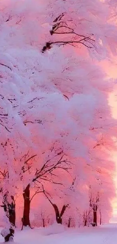 Serene pink winter scene with snow-covered trees.