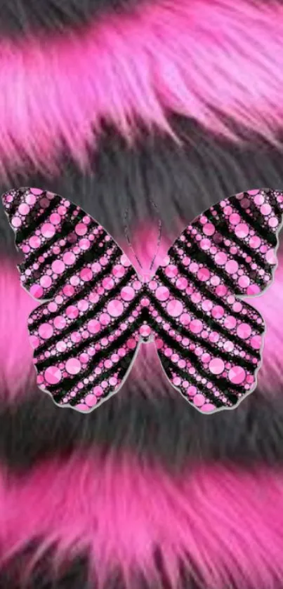 Pink zebra-striped butterfly on furry background wallpaper.