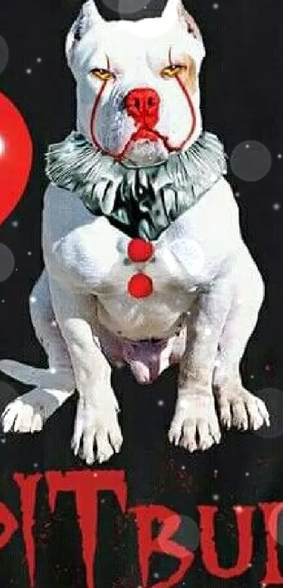 Pitbull dressed as a clown with red balloon on black background.