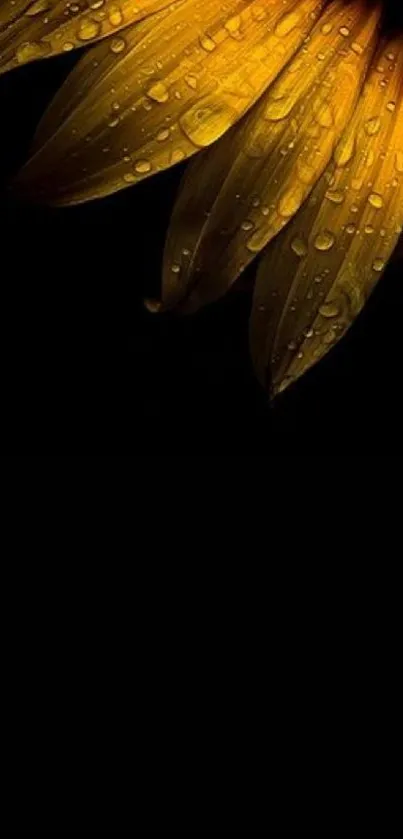 Plant Amber Petal Live Wallpaper