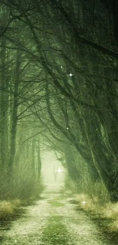 Plant Atmosphere Leaf Live Wallpaper