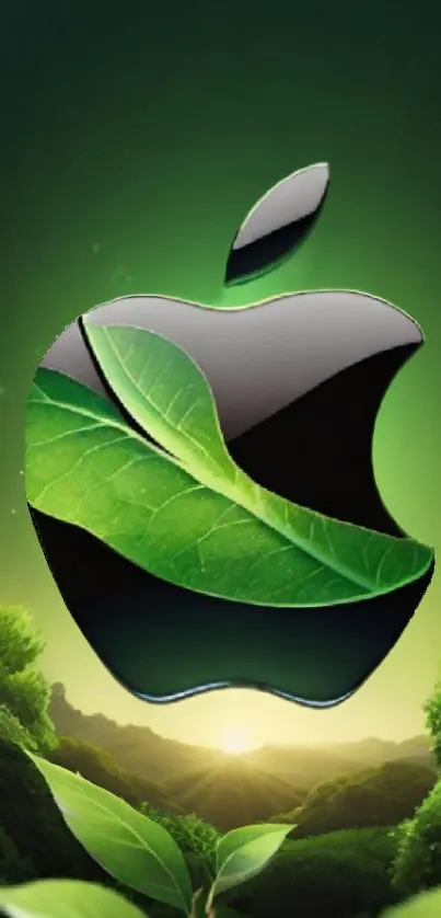 Plant Branch Terrestrial Plant Live Wallpaper