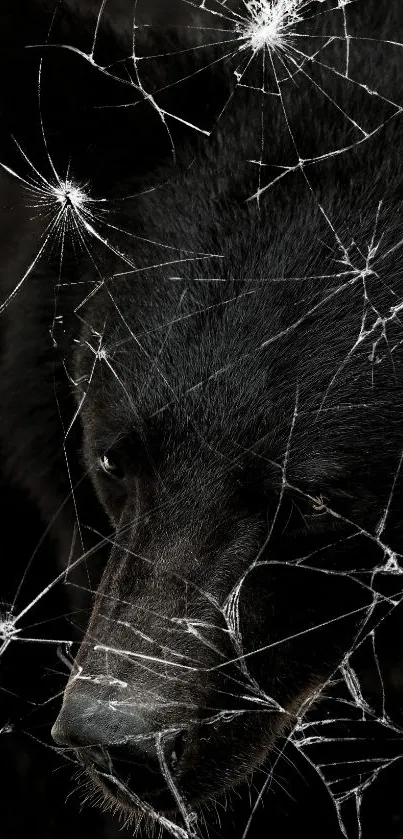 darknessss Live Wallpaper