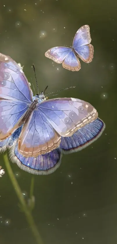 butterfly  Live Wallpaper