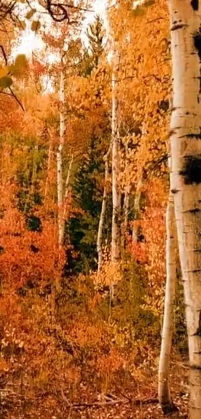 Plant Community Ecoregion Plant Live Wallpaper