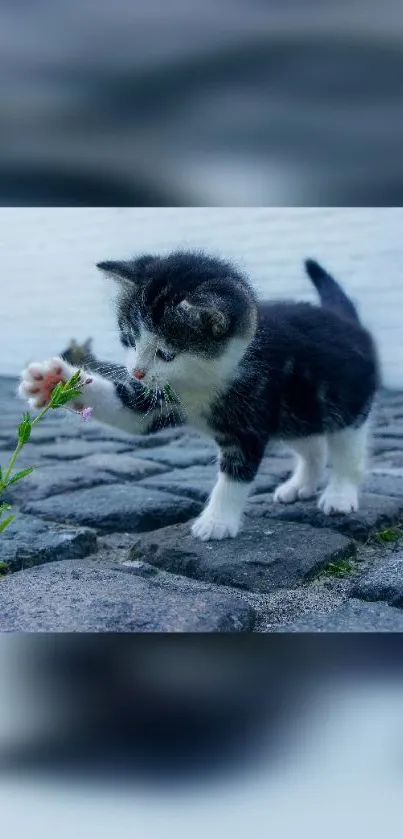 Plant Flower Carnivore Live Wallpaper