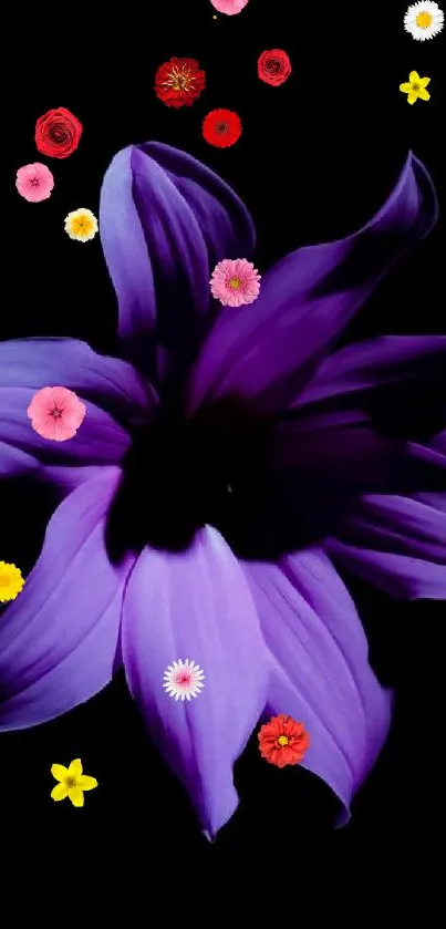 Plant Flower Purple Live Wallpaper