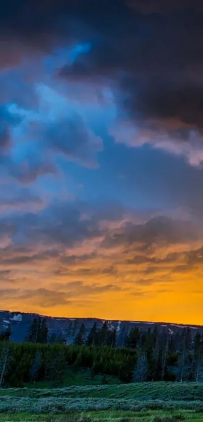 Plant Grass Cloud Live Wallpaper