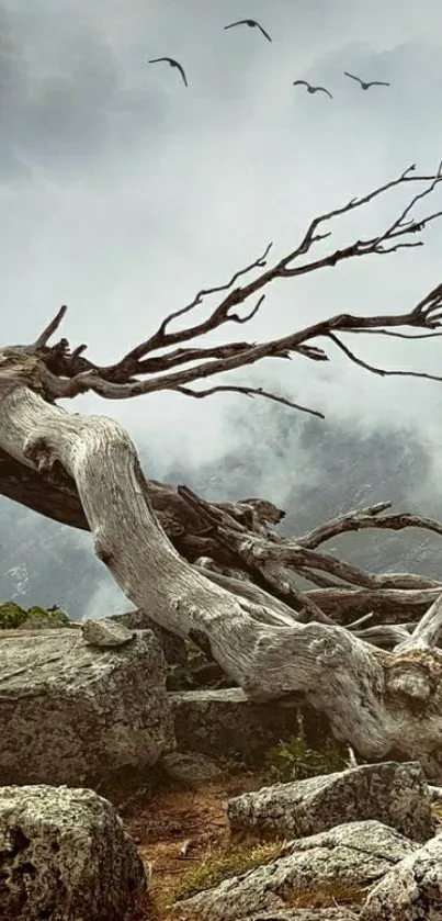 Plant Landscape Bird Live Wallpaper