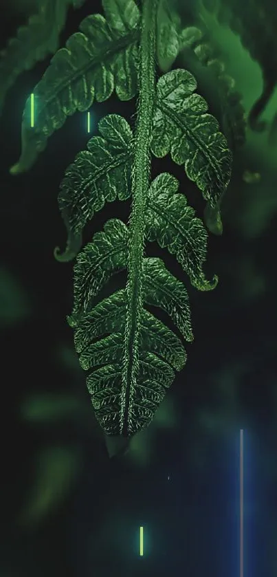 Plant Leaf Botany Live Wallpaper