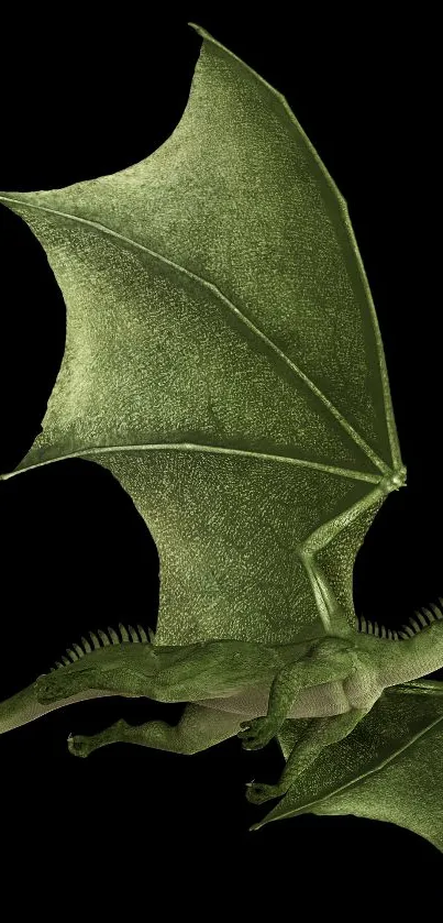 Plant Leaf Live Wallpaper