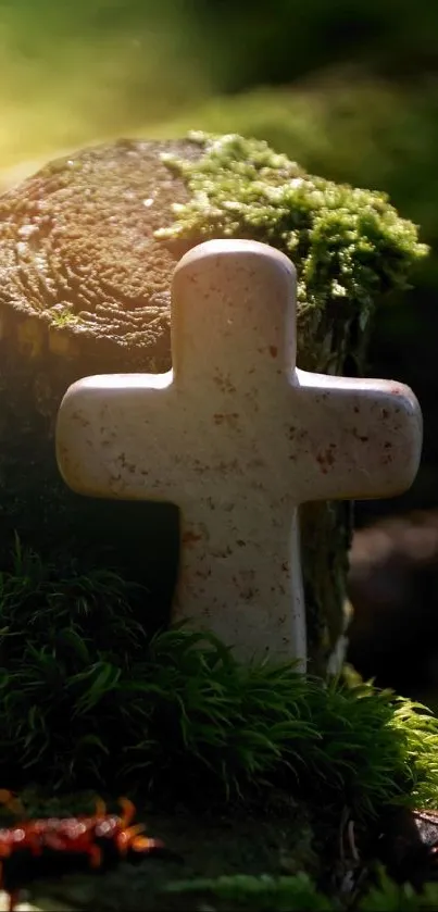 Cross Live Wallpaper