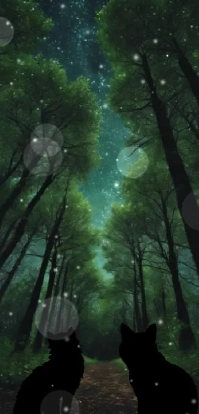 Plant Light Nature Live Wallpaper